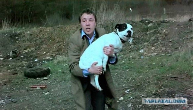 По ходу цыгане опиздюлились в Плеханове