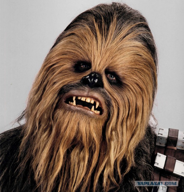 Чубаров презентовал план по захвату Крыма украинской армией