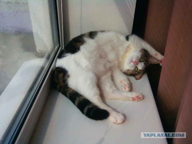 20 фото из серии "Как же хочется тепла"