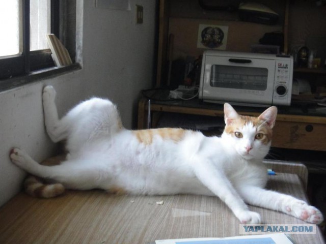 Подборка картинок