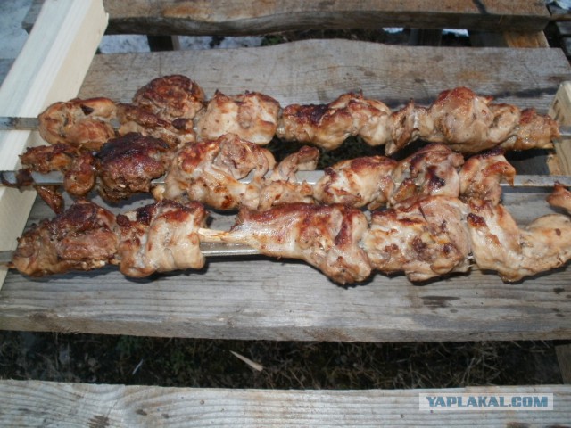 Следственный эксперимент с шашлыком