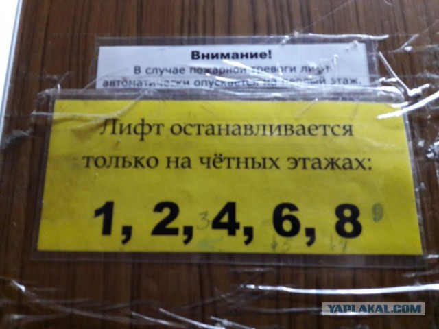 Картинки и приколы из сети