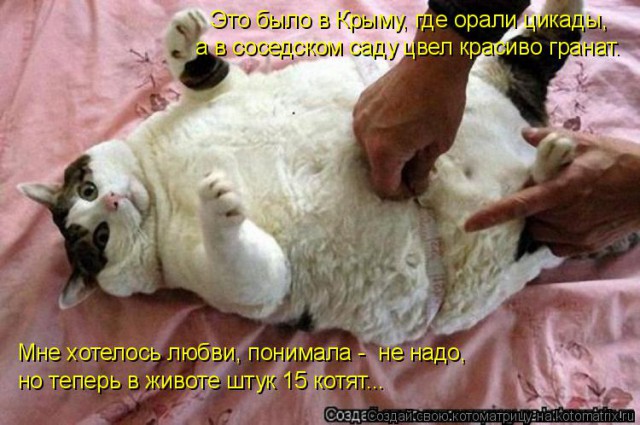 В полку амурских тигров пополнение, знакомьтесь Владик.
