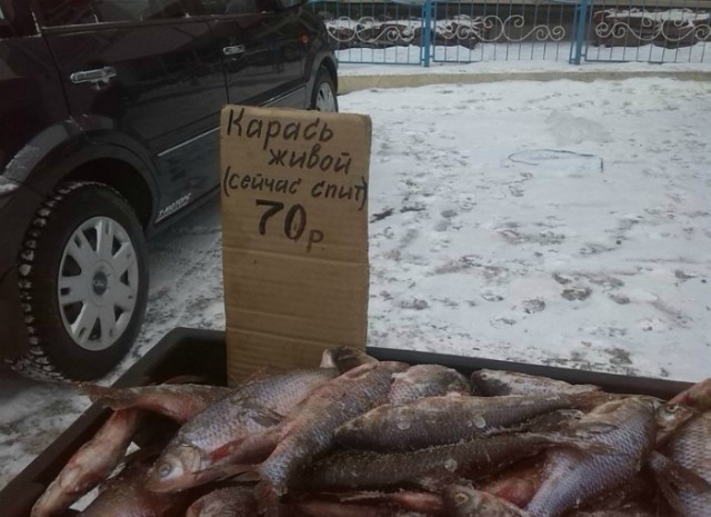 Подборка интересных и веселых картинок
