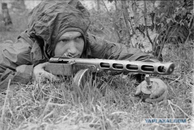 Разящий меч: как советская пехота училась воевать