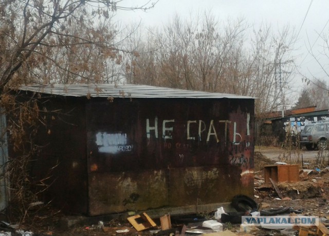 По родным просторам