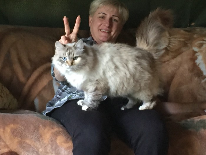 Котовторник 02.01.2018