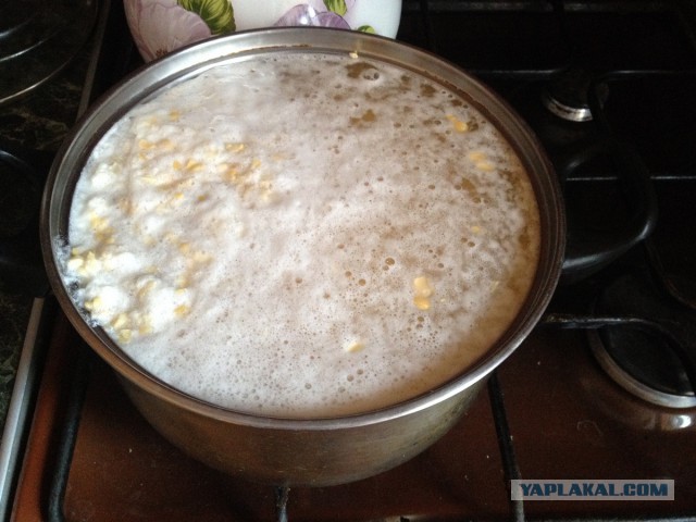 нищебродская кашка, музыкальная