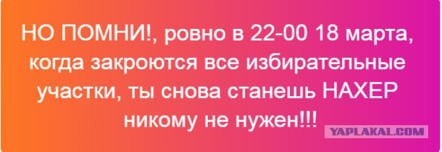 Китайская фирма арендовала 137 тысяч га томского леса на 49 лет