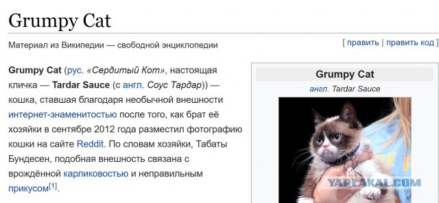 Самые известные мемы в истории Интернета