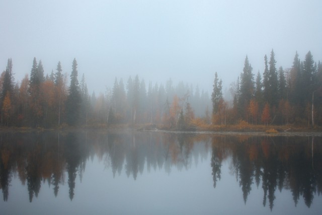 Осенняя тайга
