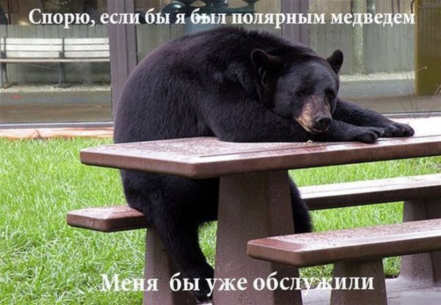 Прикольные картинки абавсём