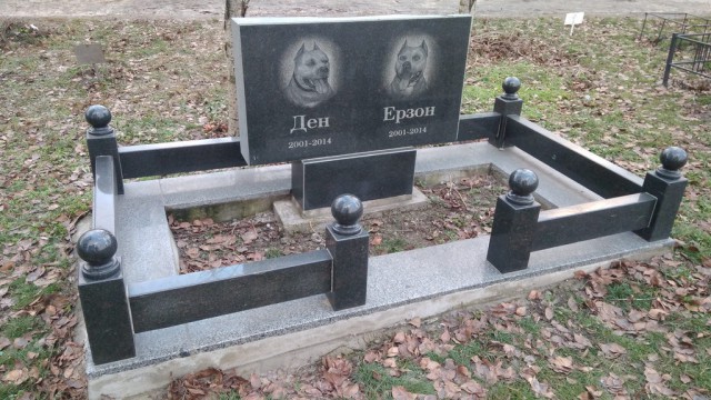 Британец нашёл в лесу 130-летнюю могилу. В ней похоронен не человек, а... кролик