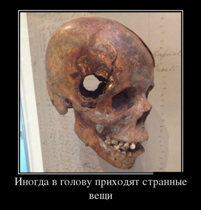 Немного картинок в это воскресенье