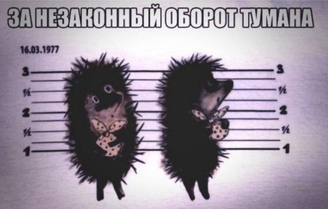 Немного картинок в этот четверг