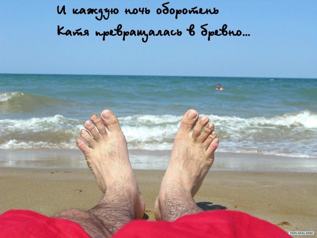 Фотожаба: Как я провел лето
