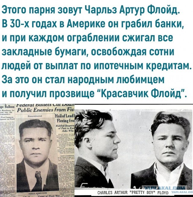 Перлы 08.06.20.