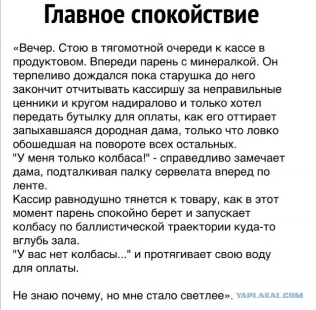 Картинки с надписями фразы и анекдоты