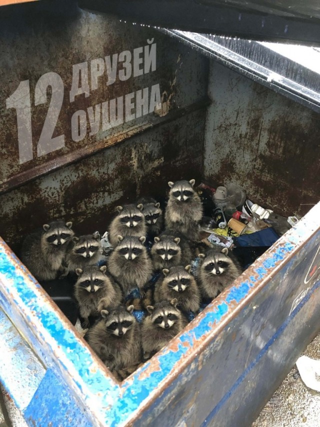 Славься, Кей!