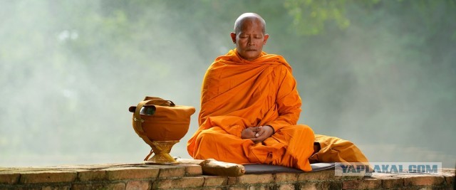 Что  радует мужчину по жизни? После 40