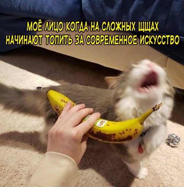 Операция "Деградация", часть вторая