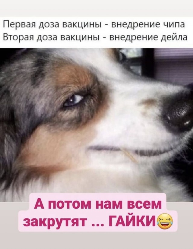 Бредзона 15.02.21