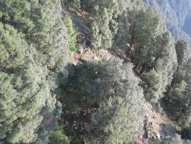 Орел против парапланериста