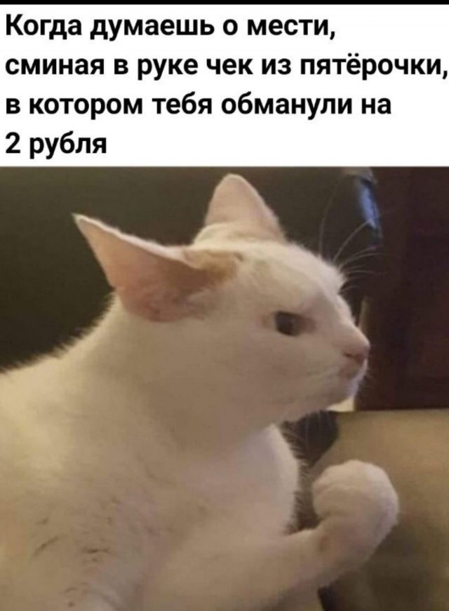 Теперь только этот корм