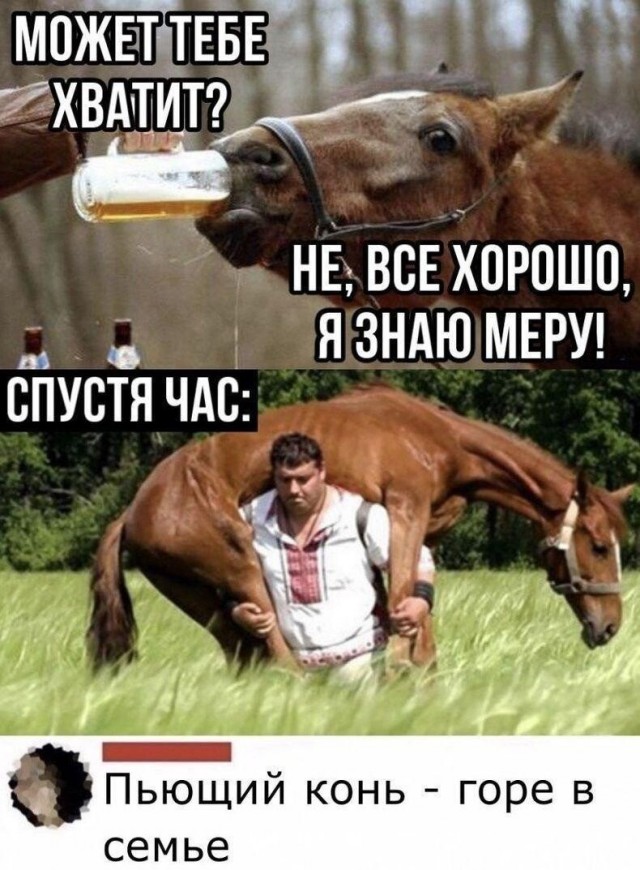 Алкопост 29.05.21