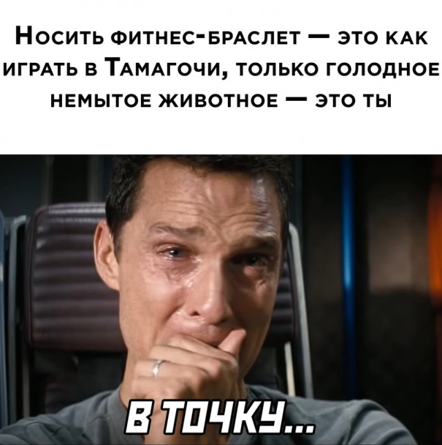 Весёлый полтишок 16.08