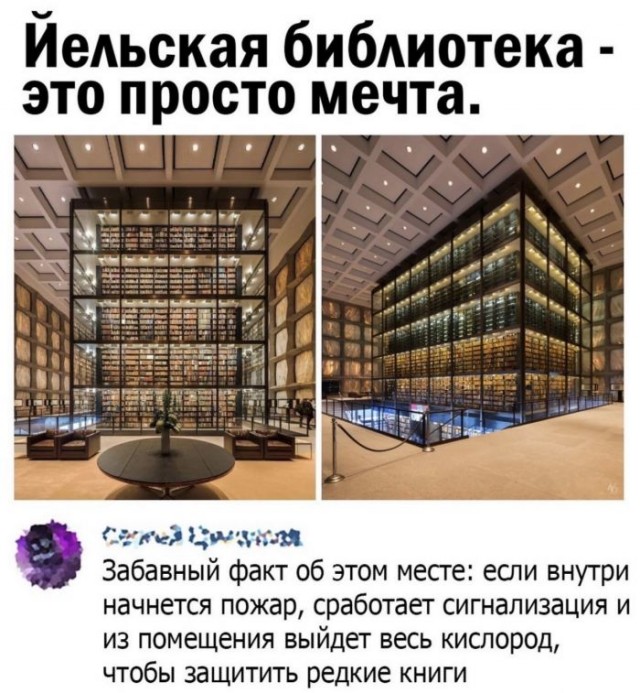 Картинки и мемы для настроения 31.08.2021