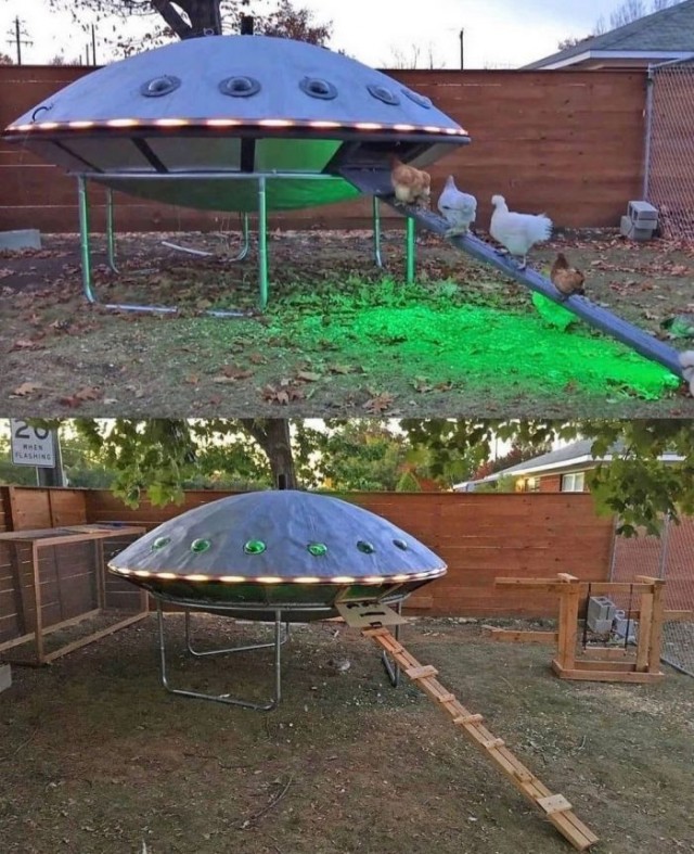 Картинки и мемы, всем прекрасных выходных