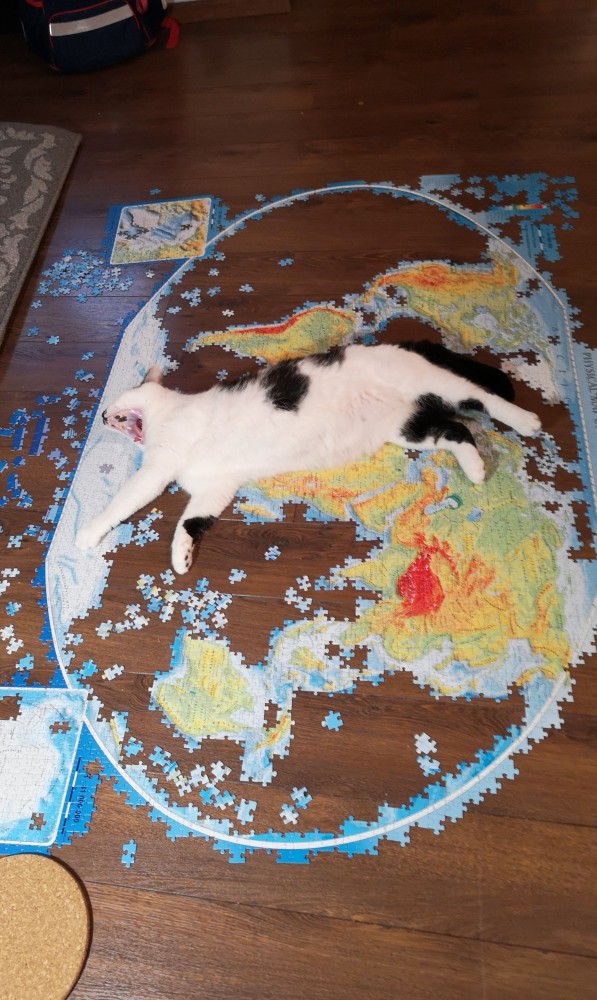 Солнце котовторника уже встало, Господа!