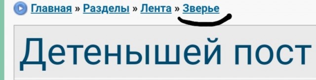 Детенышей пост