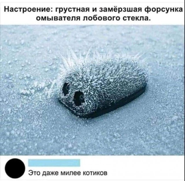 Так себе картинки 25.12.21