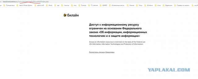 Теперь официально заработал рутрекер