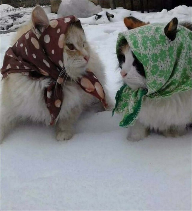 Картинки и мемы, всем отличных выходных