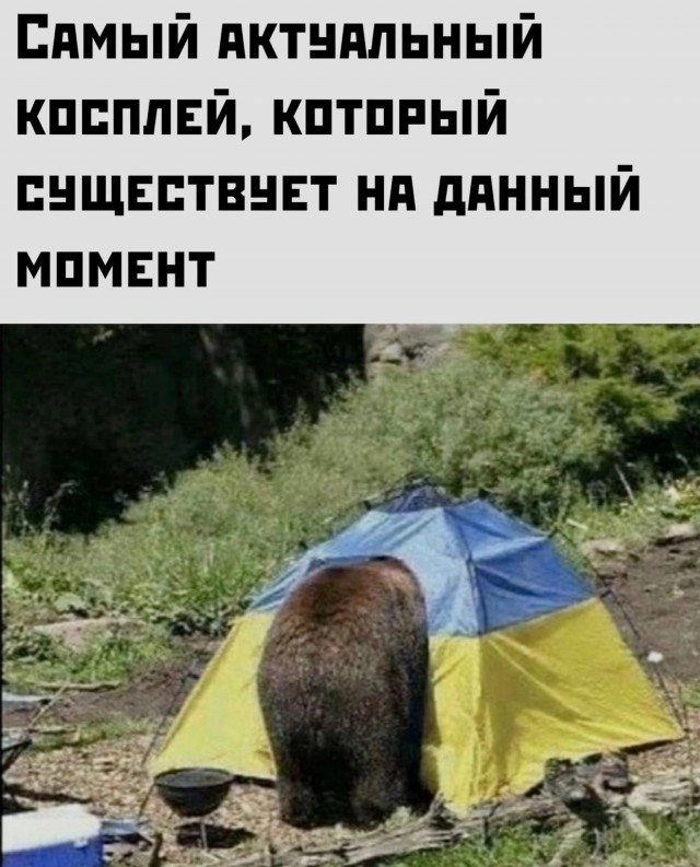 А почему референдум у россиян не провели? Хотят ли присоединять и кормить всех желающих?