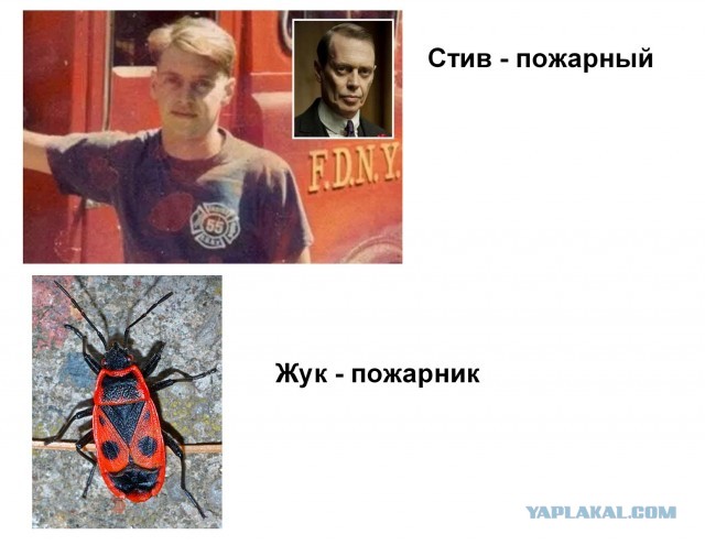 Прежде чем они стали знаменитыми