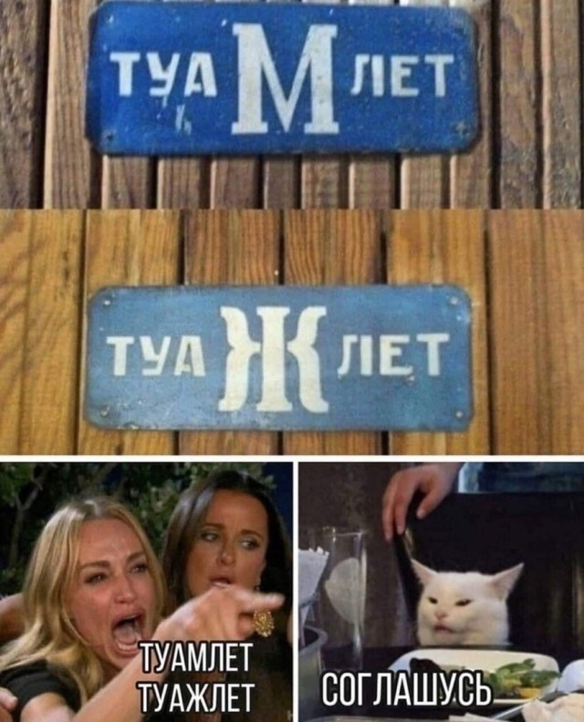 Так себе картинки 26.08.22