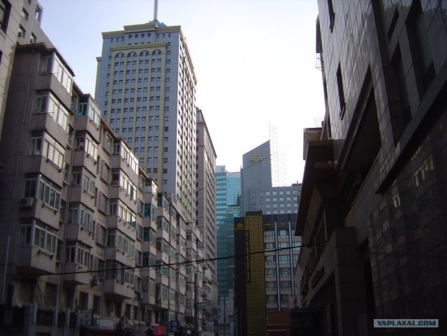 Жизнь эмигранта в Китае