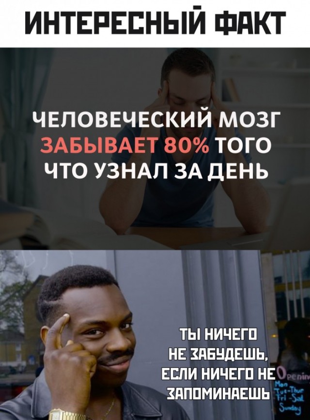 Весёлый полтишок 08.09.22