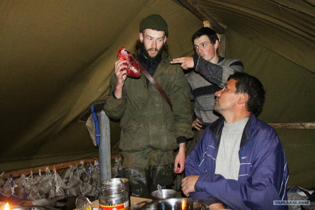 Бескрайний Север