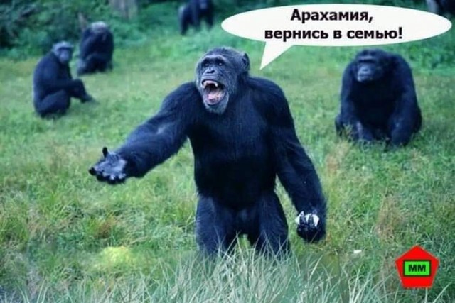 В Офисе Зеленского заявили о готовности дать РФ гарантии безопасности