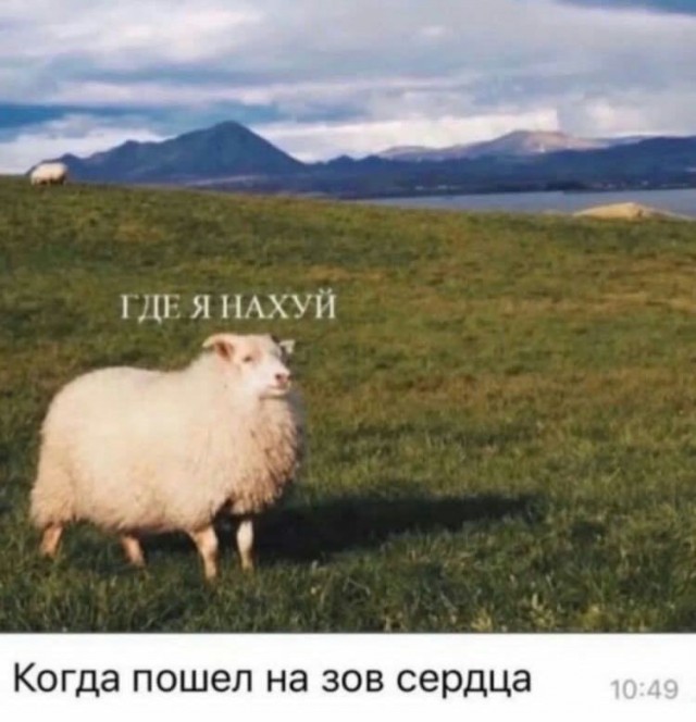 Народная меДИЧина 4010