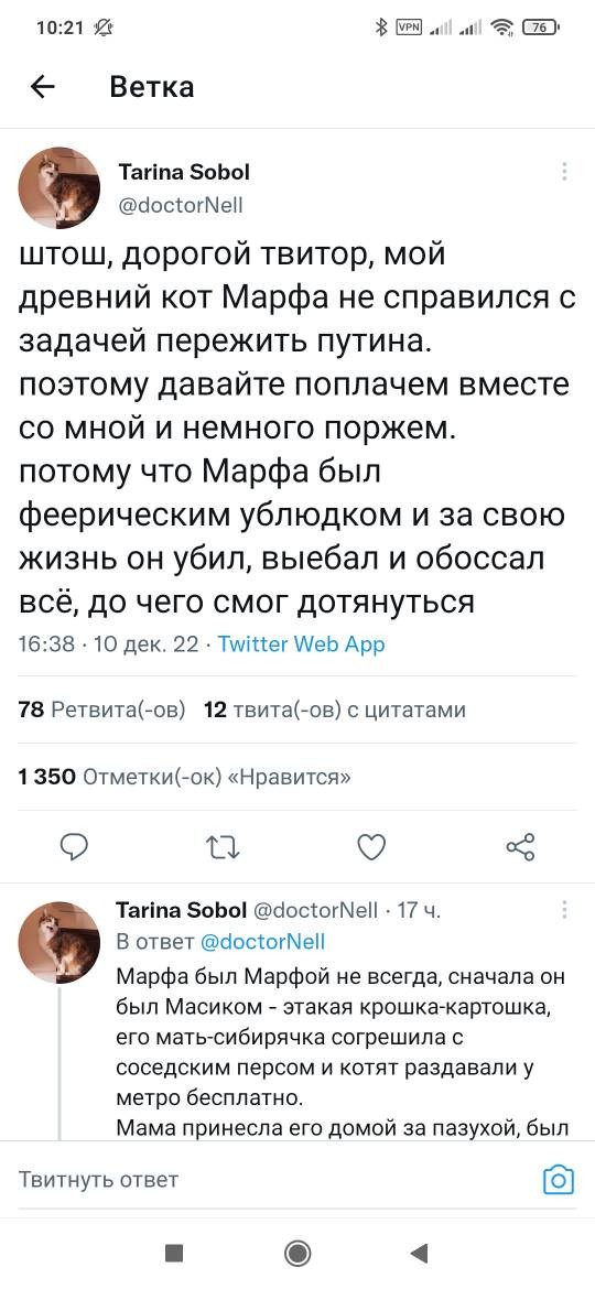 Про кота Марфу