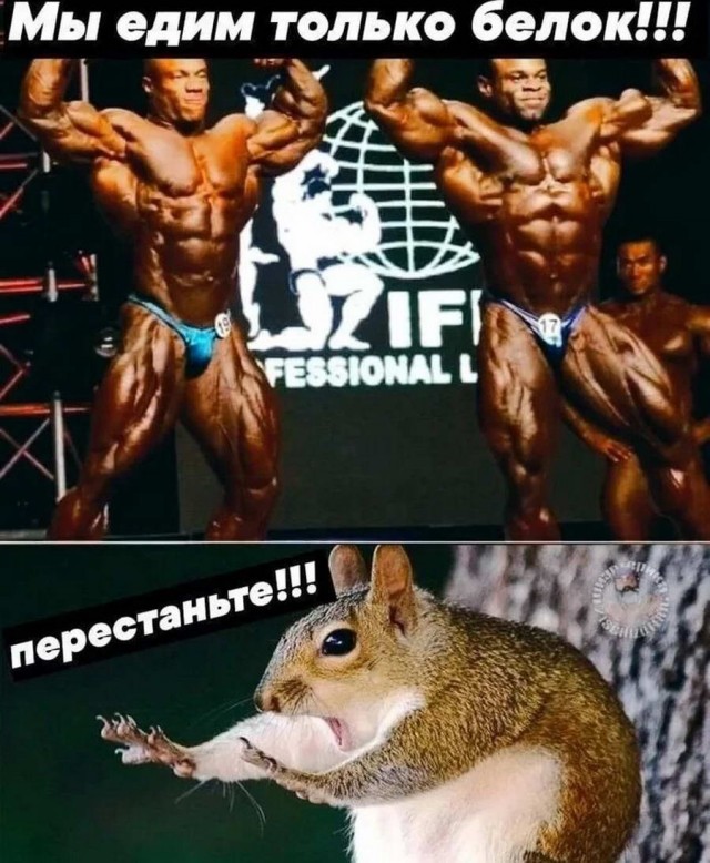 Картинки и мемы. Выходные близко...