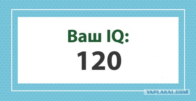 А какой у Вас IQ?