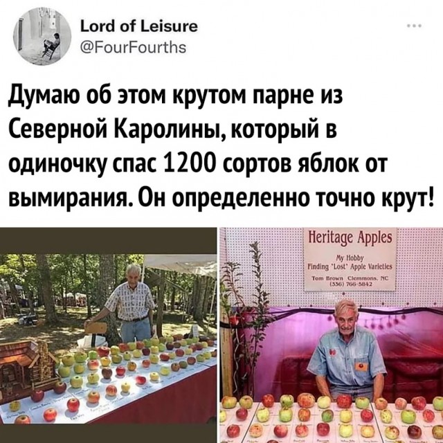 Немного картинок для настроения - 165