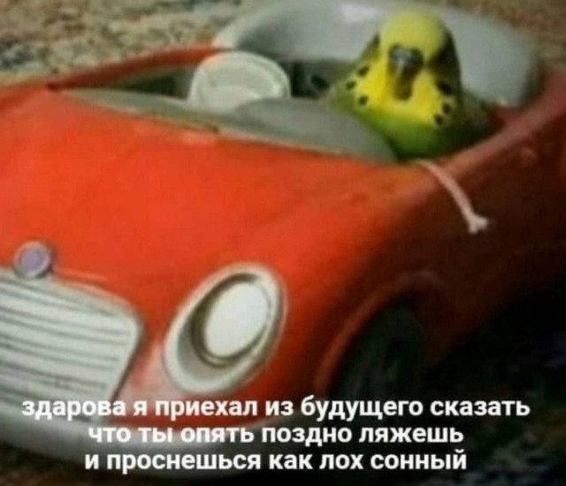 Всего понемногу. Пятничный